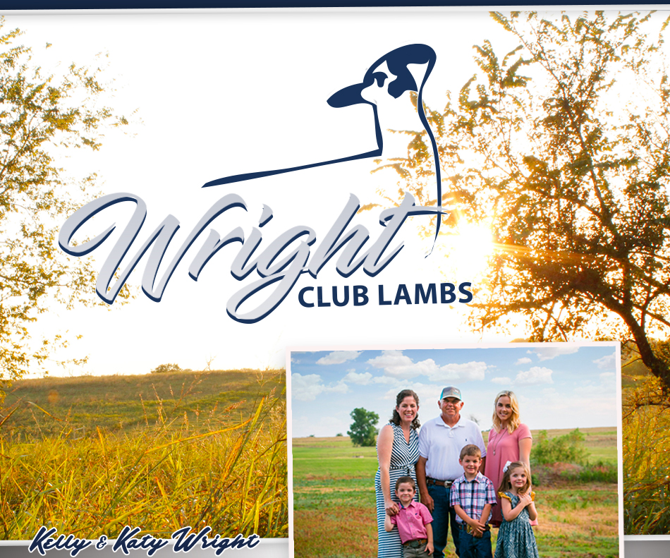 Wright Club Lambs